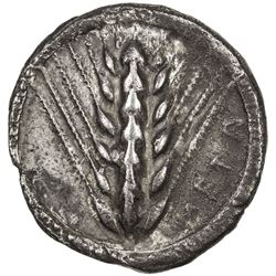 METAPONTUM: AR nomos (8.01g), SNG ANS-233; Noe-180, struck 510-470 BC, six-grained ear of barley, VF