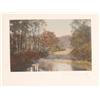 Image 2 : Tinted Photograph Summer Stream