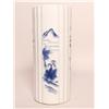 Image 1 : Chinese Blue and White Porcelain 