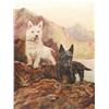 Image 1 : Scottish Oil on Canvas Board Terriers