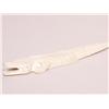Image 1 : Antique Carved Ivory Alligator