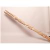 Image 1 : Native Indfian Art Talking Stick