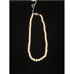 Cultured Pearls  6.8mm