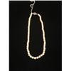 Image 1 : Cultured Pearls  6.8mm