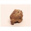 Image 2 : Chinese Ming Root Burl Temple Guardian