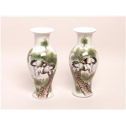 Decorative Art  Chinese Porcelain Vases