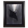 Image 1 : Wyland, "Manta" Framed Original Watercolor Painting, Hand Signed with Certificate of Authenticity.