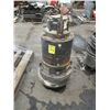 Image 3 : (3) Water pumps