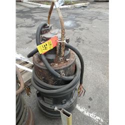 (3) Water pumps