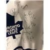 Image 3 : TORONTO MAPLE LEAFS TEAM SIGNED HOCKEY JERSEY (1995-96 SEASON) w/ JSA LOA