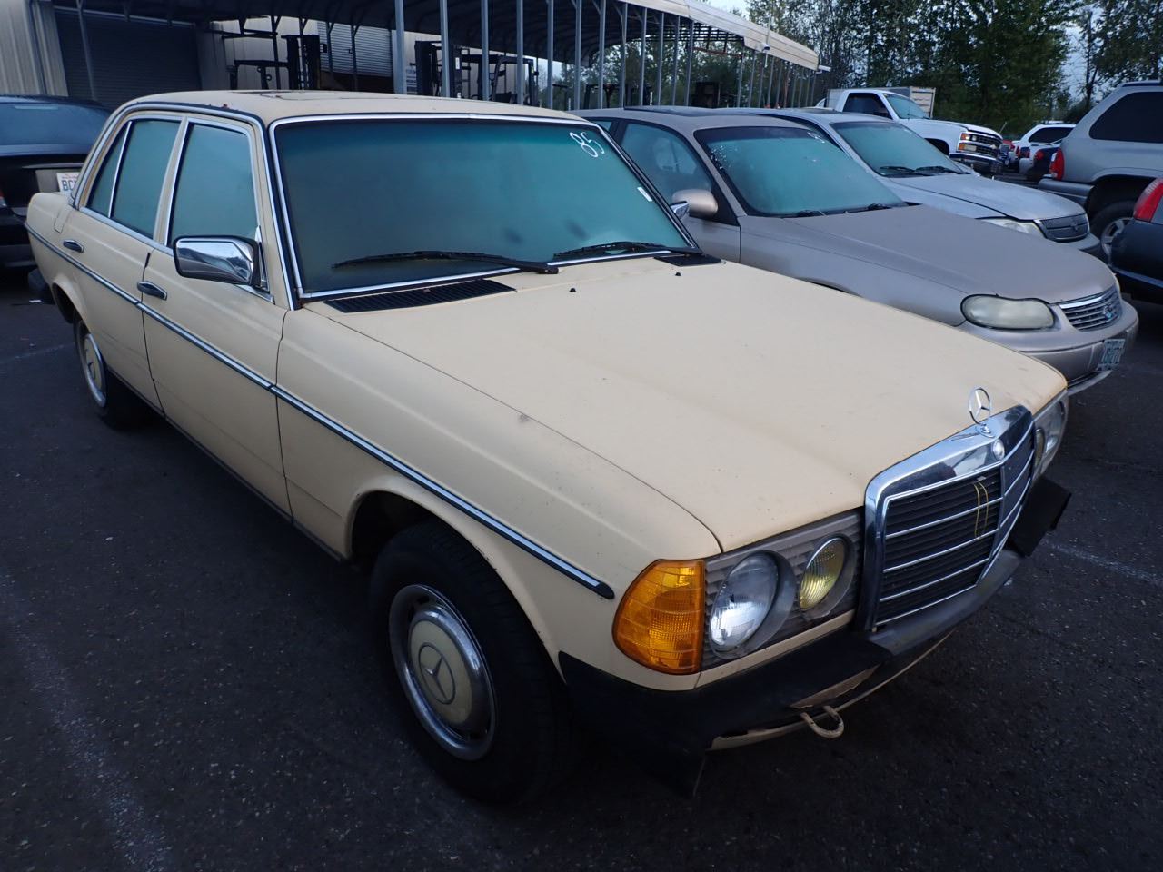 1981 MercedesBenz 240D Speeds Auto Auctions