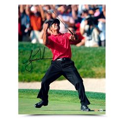 Tiger Woods Signed 16x20 Photo (UDA COA)