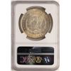 Image 2 : 1889 $1 Morgan Silver Dollar Coin NGC MS64 Amazing Toning