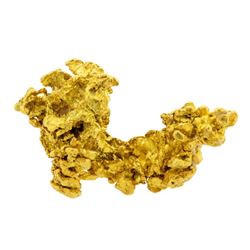 7.0 gram Gold Nugget