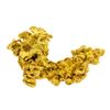 Image 1 : 7.0 gram Gold Nugget