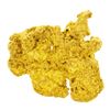 Image 1 : 5.5 gram Gold Nugget
