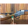 Image 14 : Rolling Block Rifle