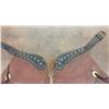 Image 3 : FM Stern Card Suit Chaps