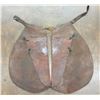 Image 4 : FM Stern Card Suit Chaps