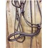 Image 2 : Vintage, Braided Bosal, Kangaroo