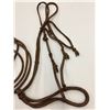 Image 6 : Vintage, Braided Bosal, Kangaroo