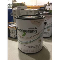 Boomerang Acrylic Latex Paint Valvet Finish (3.78L)