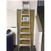 Image 1 : 8ft Ladder