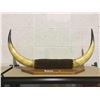 Image 1 : Bull Horn Display
