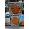 Image 2 : 5 SALT ROCK LAMPS