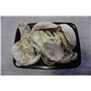 Image 1 : TRAY OF SHELLS