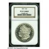 Image 3 : 1891 S$1 PR67 Cameo NGC. The technical aspects of