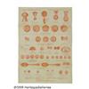 Image 2 : Amazing Collection of Advertising Flyers for Earl