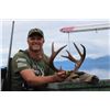 Image 2 : 3-day/4-night Alaska Sitka Black-Tailed Deer Hunt for Two Hunters