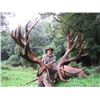Image 1 : 5-day New Zealand Red Stag Hunt and $1,000 Credit Towards Rusa Deer for Three Hunters and Three Obse