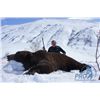 Image 3 : 7-day Russian Kamchatka Brown Bear Hunt for One Hunter