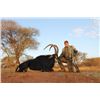 Image 1 : 10-day South Africa Sable Hunt for Two Hunters and Two Observers with Taxidermy Work