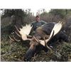 Image 3 : 12-day Western Canada Moose Hunt for One Hunter