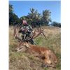 5-day New Zealand Big Game Safari with $10,000 Trophy Credit for Two Hunters