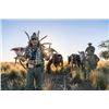 Image 2 : 6-day Argentina Red Deer up to 360 SCI Hunt for Three Hunters and Three Observers