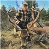 Image 3 : 5-day Spanish Iberian Red Deer Hunt and VIP Bullfight Show for Two Hunters