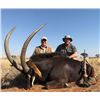 Image 2 : 7-day South Africa Sable Hunt for One Hunter and One Observer