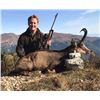 Image 1 : 6-day/7-night Italy Alpine Chamois, European Roe Deer and Wild Boar Hunt for One Hunter and One Obse