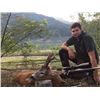 Image 2 : 6-day/7-night Italy Alpine Chamois, European Roe Deer and Wild Boar Hunt for One Hunter and One Obse
