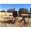 Image 2 : 5-day Spain Big Game Hunt for Two Hunters and Two Observers