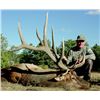 Image 1 : Acoma Pueblo 'Governor's Tag' for Rocky Mountain Elk for One Hunter