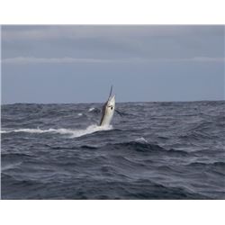 4-night/3-day Panama Saltwater Adventure for Four Anglers and Four Observers