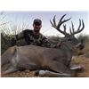 Image 1 : 5-day Arizona Coues Deer Hunt for Two Hunters and One Observer