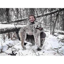5-day British Columbia Lynx Hunt for One Hunter and One Observer