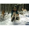 Image 3 : 5-day British Columbia Lynx Hunt for One Hunter and One Observer