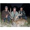 Image 2 : 5-day Australia Moluccan Rusa and Axis Deer Hunt for One Hunter and One Observer